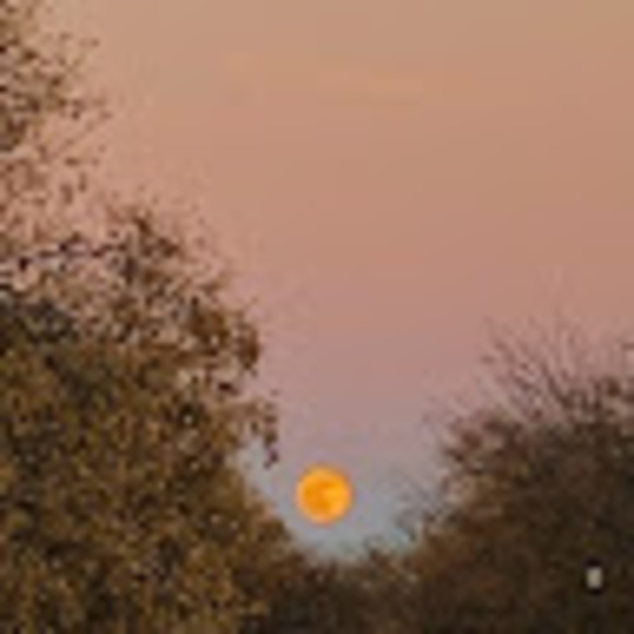 aacoskarla